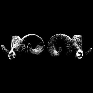 Dub Shepherds - Musique